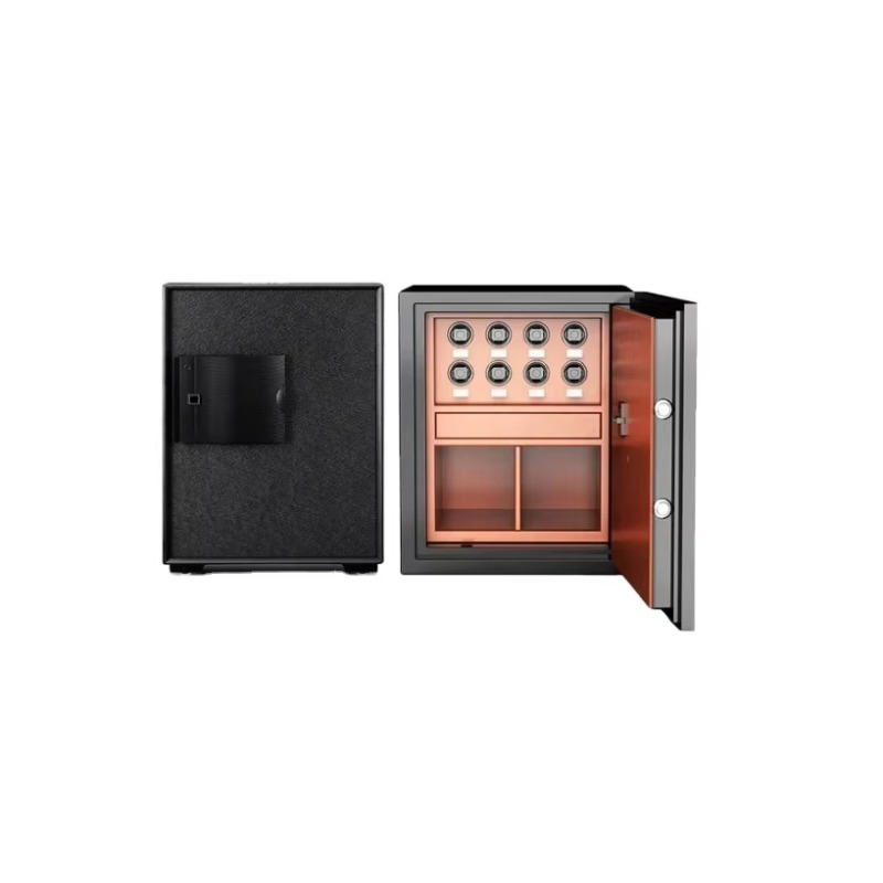 Brandwerende en diefstalbesten - Luxury Watch Safe recensie en prijs